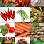 Alimente pentru dieta