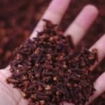 Fierbe cuișoarele, bea ceaiul și vei fi recunoscător/oare pentru acest sfat