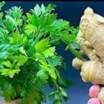 🔥 Slăbește natural: Băutura care topește grăsimea abdominală! Până la 10 kg pe lună!